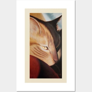 Golden Sunstruck Orange Tabby Posters and Art